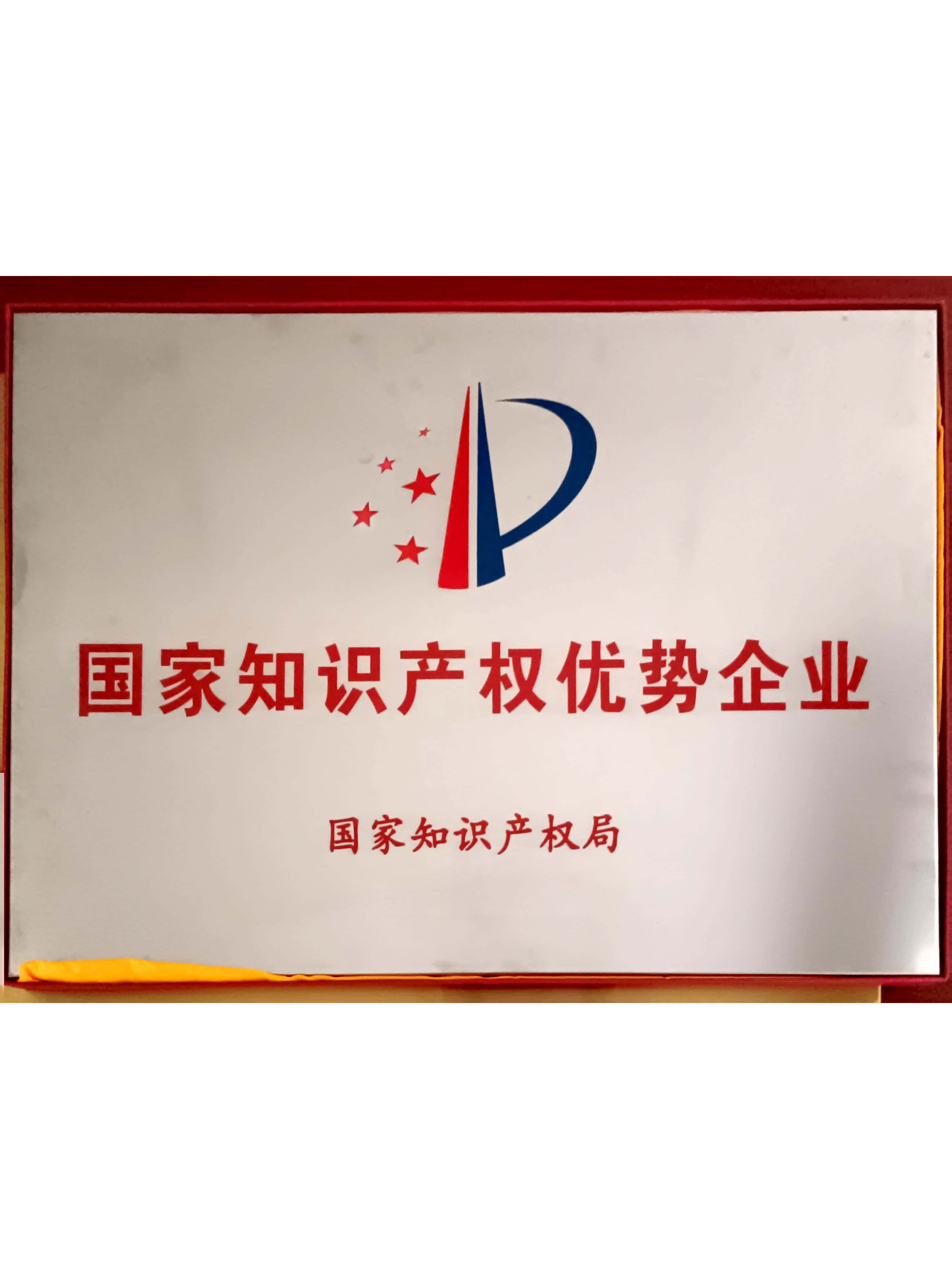 National Intellectual Property Advantage Enterprise