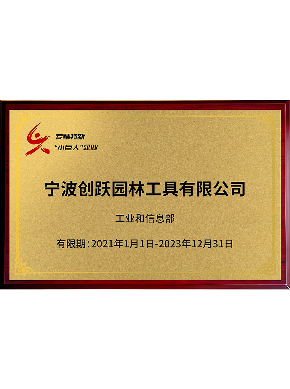 Specialized & Sophisticated “Little Giant” Enterprise Certificate